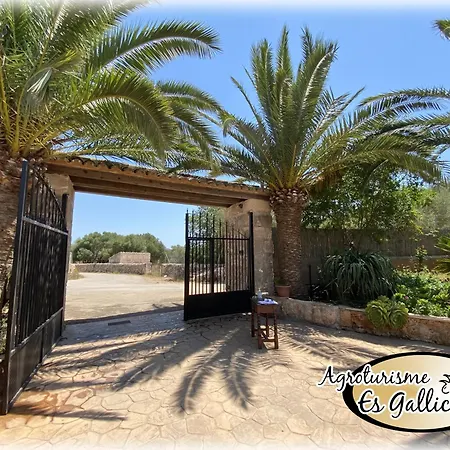 Farm stay Es Gallicant