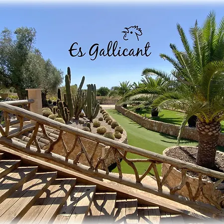 Es Gallicant Farm stay