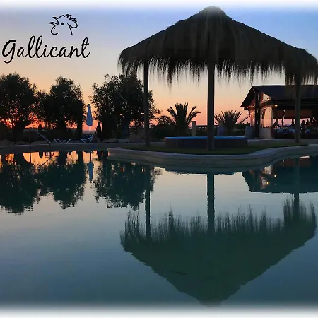 Farm stay Es Gallicant