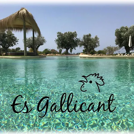 Farm stay Es Gallicant *