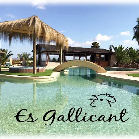 Farm stay Es Gallicant