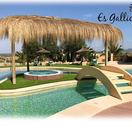 Es Gallicant