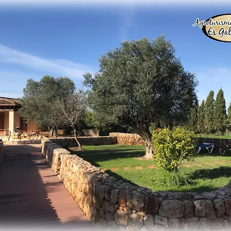 Es Gallicant Farm stay *