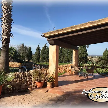 Es Gallicant Farm stay *