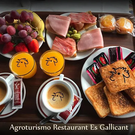 Es Gallicant *