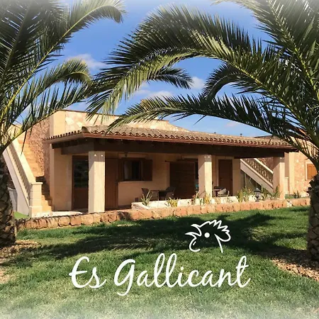 Es Gallicant Farm stay